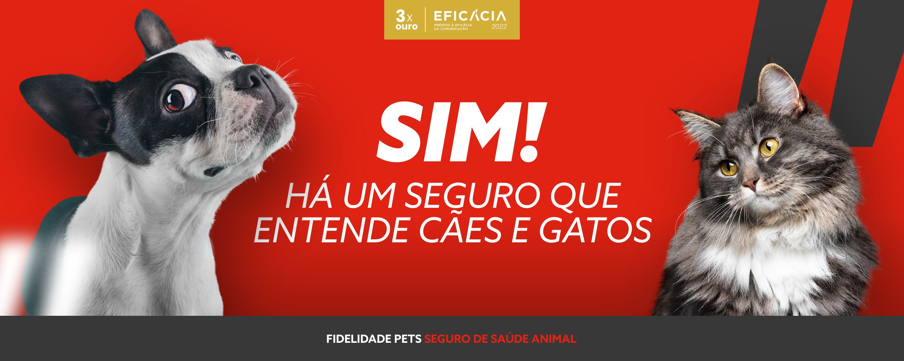 Fidelidade Pets caetsu two